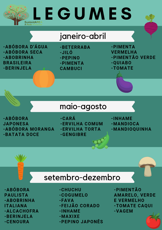 O que é sazonalidade?