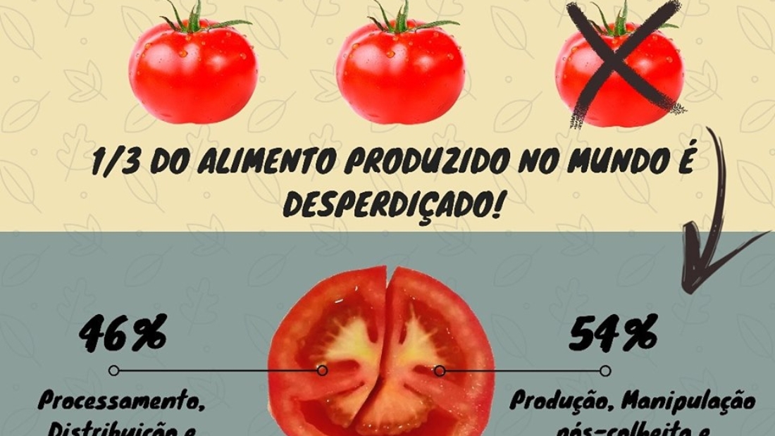 Jogo da ALIMENTAÇÃO SAUDÁVEL em COQUINHOS