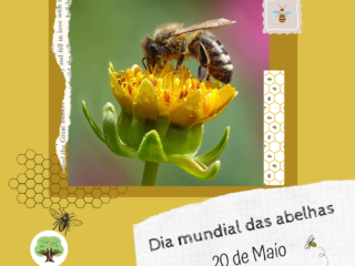 Site_Dia das abelhas