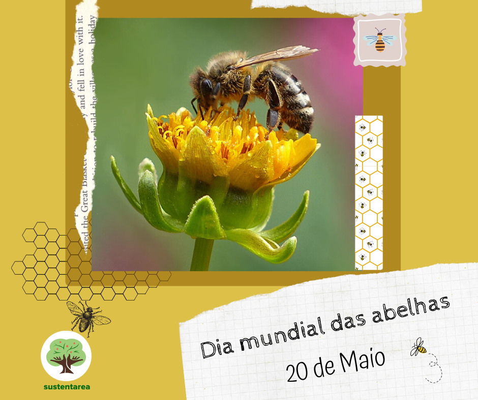 Importância das abelhas: Google celebra Dia da Terra com jogo