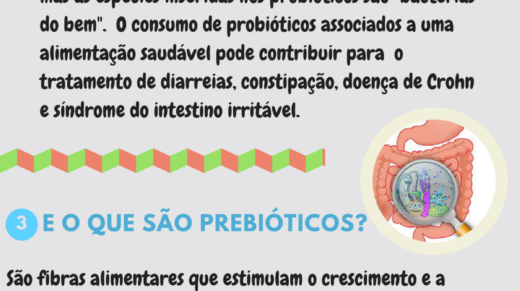 Probiótico x Prebiótico