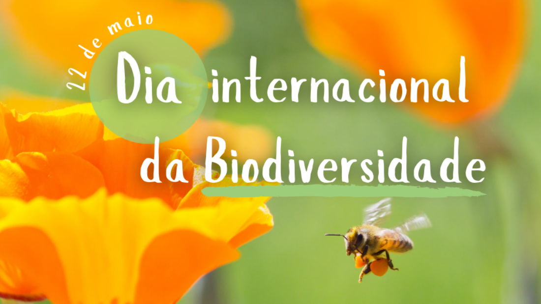Dia Internacional da Biodiversidade 22052021