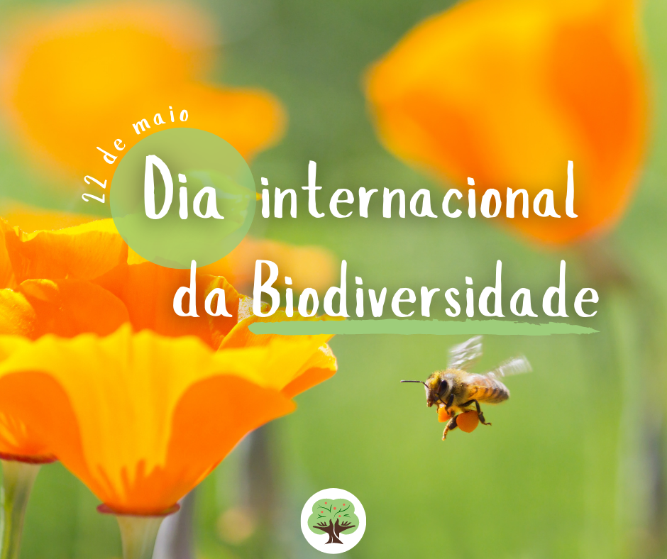 desafio 3 – Dia Internacional da Biodiversidade – CEA em blogue