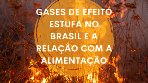Gases de efeito estufa no Brasil e a relação com a alimentação (1)