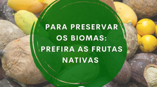 Biomas e frutas nativas