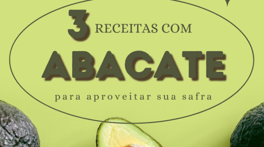 3 receitas com abacate 159