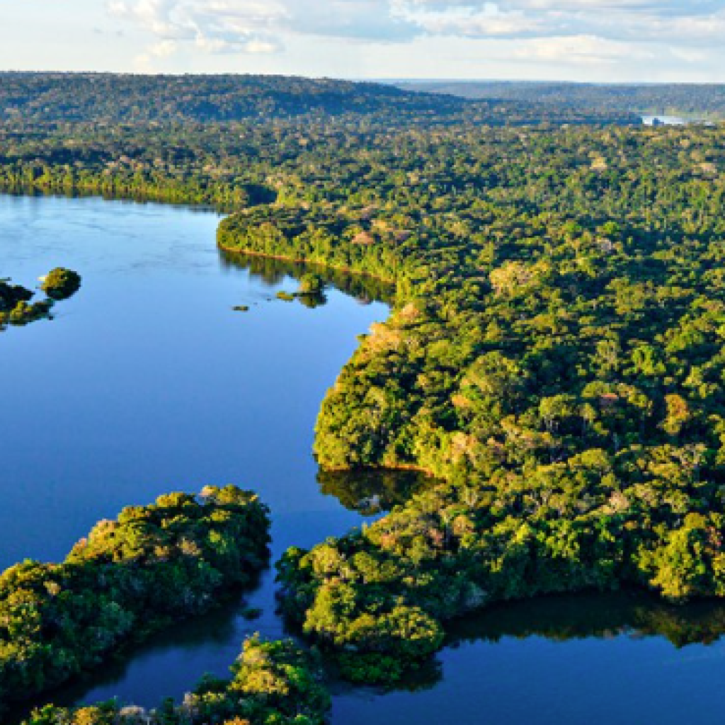 amazonia