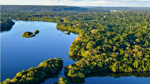 amazonia