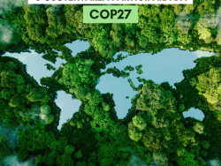 COP27-1