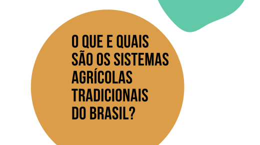 Sistemas Agrícolas Tradicionais do Brasil (Apresentação (169))
