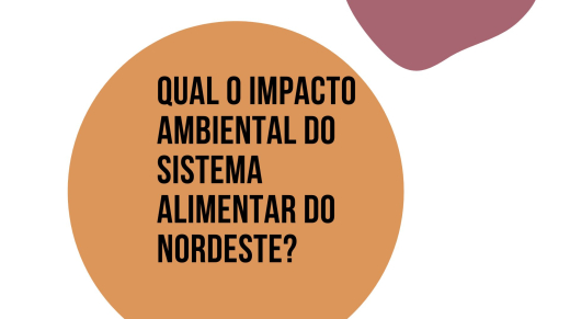 Impacto-ambiental-do-sistema-alimentar-do-Nordeste-Apresentacao-169