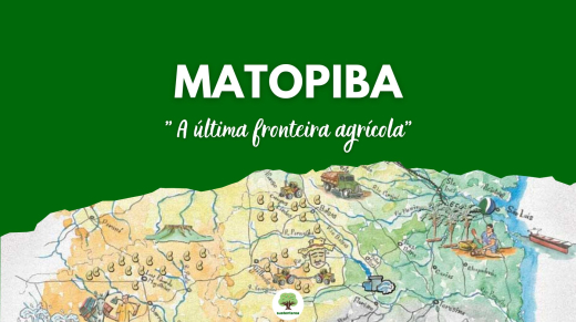 MATOPIBA-Apresentacao-169