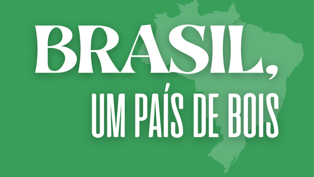 Cópia de Bovinos no Brasil (3)